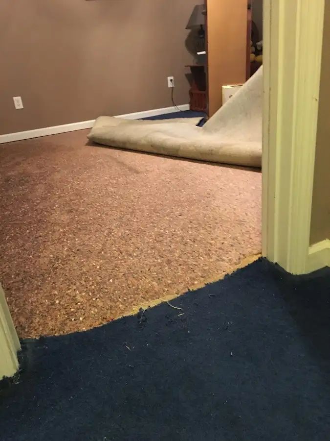 Carpet pad removal revealing water damage during Water Mitigation Services in Manassas