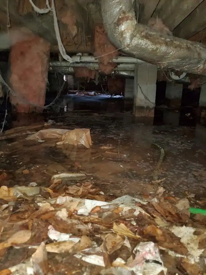 Crawl space flood assessment for Leak Detection & Repair in Manassas