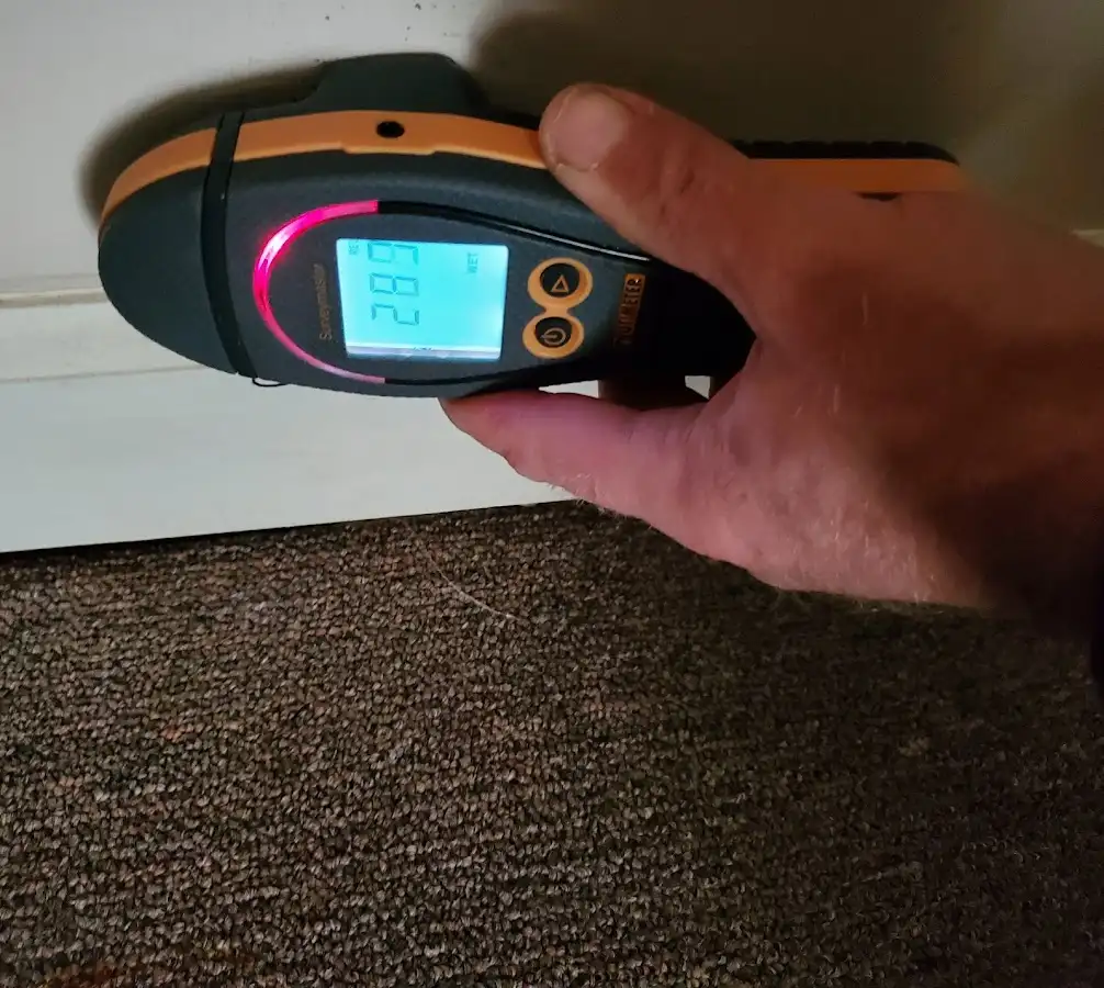 Moisture detection at baseboard during Mold Inspection & Testing in Manassas